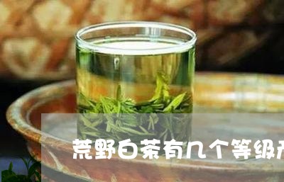 荒野白茶有几个等级产地/2023032823045