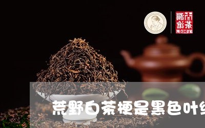 荒野白茶梗是黑色叶绿色/2023032865947