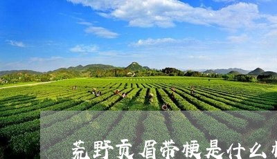 荒野贡眉带梗是什么样的/2023032811836