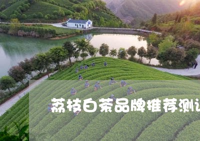 荔枝白茶品牌推荐测评图/2023032895049