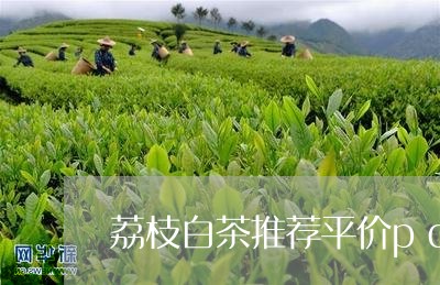 荔枝白茶推荐平价pdd/2023032827270