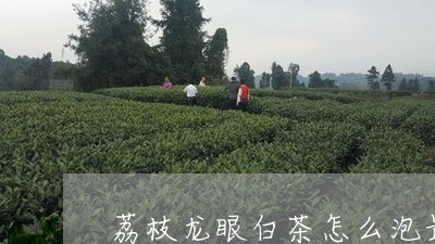 荔枝龙眼白茶怎么泡最好/2023032782605