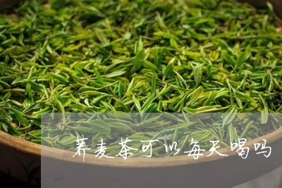 荞麦茶可以每天喝吗/2023041417392