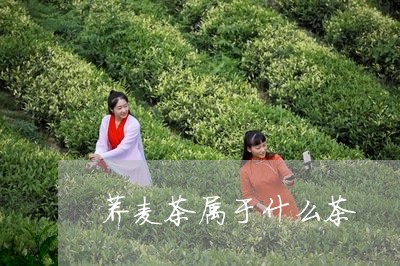 荞麦茶属于什么茶/2023032446371