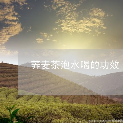 荞麦茶泡水喝的功效/2023041596158