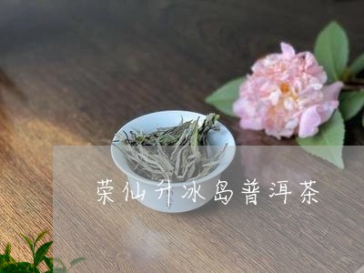 荣仙升冰岛普洱茶/2023031794451