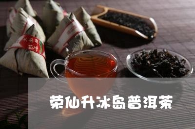 荣仙升冰岛普洱茶/2023041303724