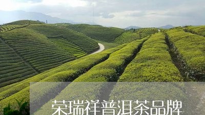 荣瑞祥普洱茶品牌/2023031693058