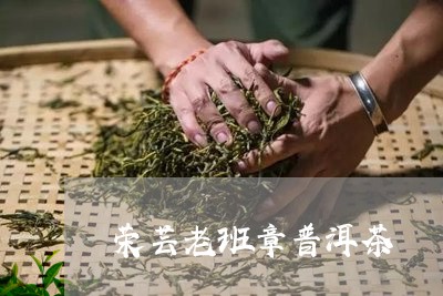 荣芸老班章普洱茶/2023041274826