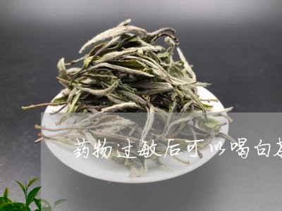 药物过敏后可以喝白茶吗/2023032723026