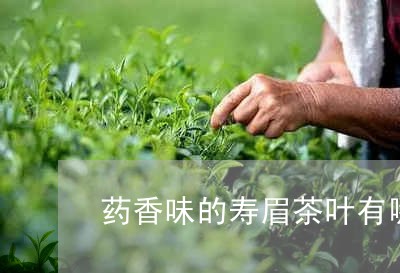 药香味的寿眉茶叶有哪些/2023032848169