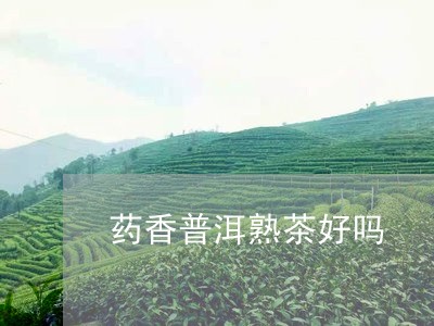 药香普洱熟茶好吗/2023032929603