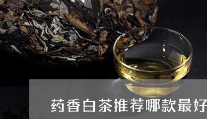 药香白茶推荐哪款最好喝/2023032816258