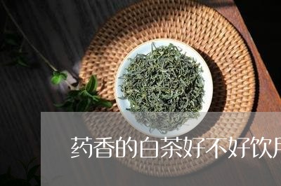 药香的白茶好不好饮用了/2023032750583