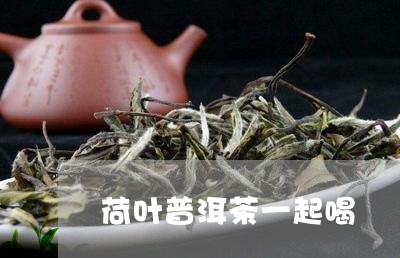 荷叶普洱茶一起喝/2023033121925