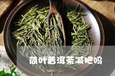 荷叶普洱茶减肥吗/2023031724941