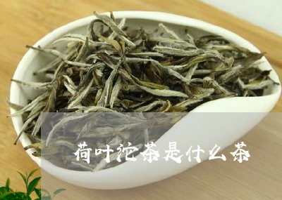 荷叶沱茶是什么茶/2023032496160