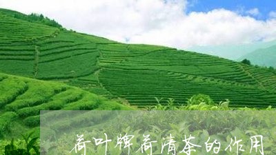 荷叶牌荷清茶的作用/2023032102847