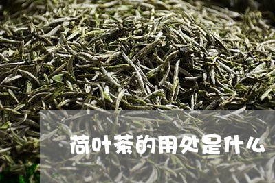 荷叶茶的用处是什么/2023032171604