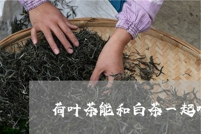 荷叶茶能和白茶一起喝吗/2023032830584