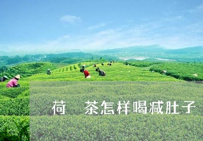 荷旪茶怎样喝减肚子/2023041596070