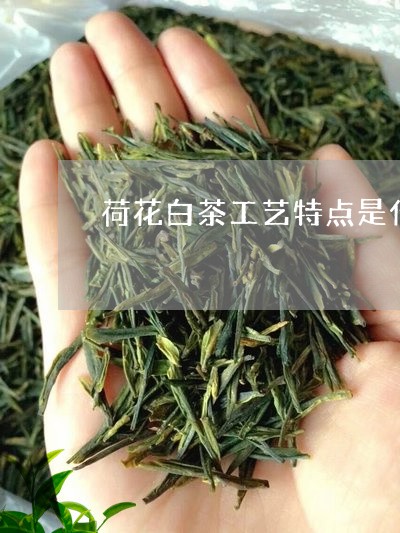 荷花白茶工艺特点是什么/2023032882806