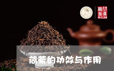 荷茶的功效与作用/2023032417259