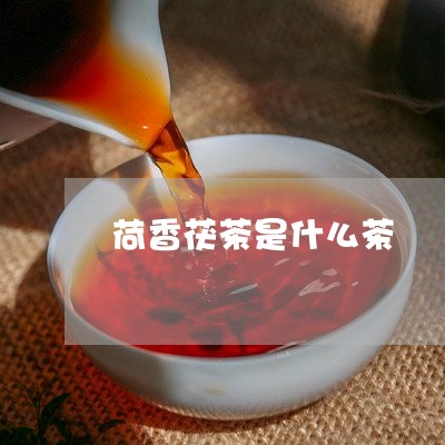 荷香茯茶是什么茶/2023032354846