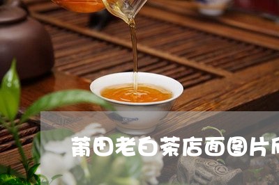 莆田老白茶店面图片欣赏/2023032831824