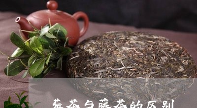 莓茶与藤茶的区别/2023032494816