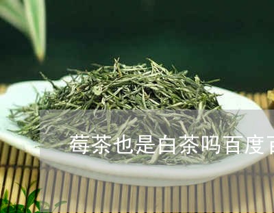 莓茶也是白茶吗百度百科/2023032833138