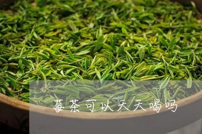 莓茶可以天天喝吗/2023032254835