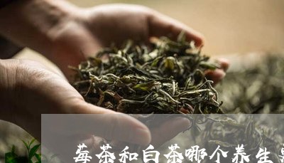 莓茶和白茶哪个养生更好/2023032849584