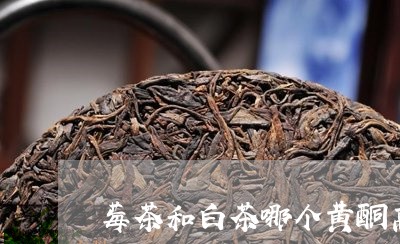 莓茶和白茶哪个黄酮高些/2023032825038