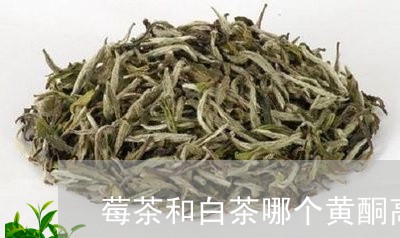 莓茶和白茶哪个黄酮高点/2023032839270