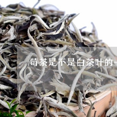 莓茶是不是白茶叶的一种/2023032809459