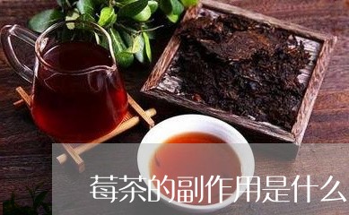 莓茶的副作用是什么/2023041750727