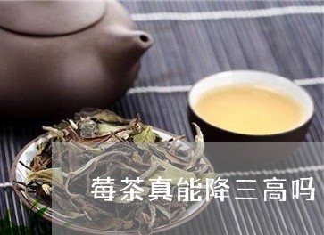 莓茶真能降三高吗/2023031704059