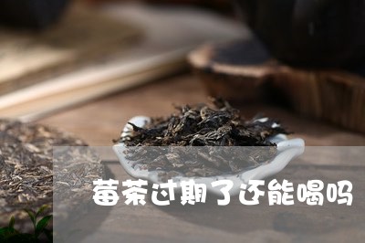 莓茶过期了还能喝吗/2023031894156