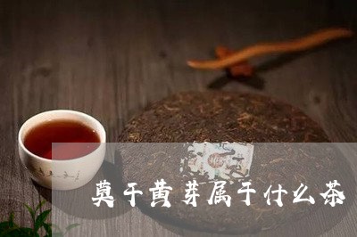 莫干黄芽属于什么茶/2023041523723