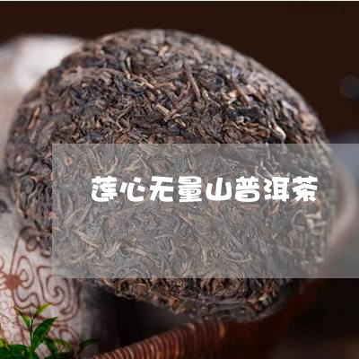 莲心无量山普洱茶/2023041072716