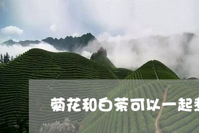 菊花和白茶可以一起煮吗/2023032881605