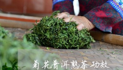 菊花普洱熟茶功效/2023032971613