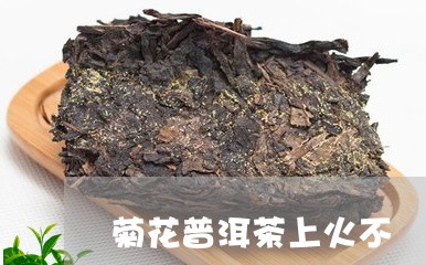 菊花普洱茶上火不/2023041326169