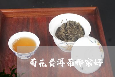 菊花普洱茶哪家好/2023041496846