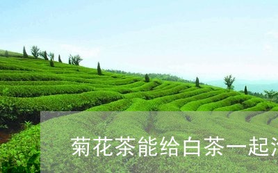 菊花茶能给白茶一起泡吗/2023032848572