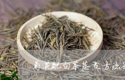 菊花配白茶蒸煮方法窍门/2023032889593