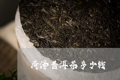 菏泽普洱茶多少钱/2023033157372