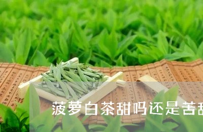 菠萝白茶甜吗还是苦甜的/2023032808501