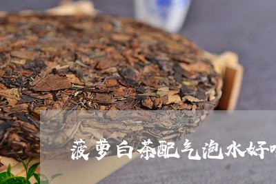 菠萝白茶配气泡水好喝吗/2023032792045